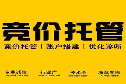 百度推广怎么做：成功案例分析与实战技巧